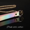 IRIS COLLAR DE SUMISION Y CORREA - Imagen 3